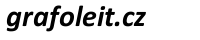 Primary Raster logo